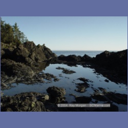 2003_3609_Spring_Island_Kyuquot_Sound.html