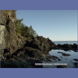 2003_3610_Spring_Island_Kyuquot_Sound.html