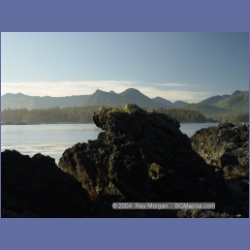 2003_3613_Spring_Island_Kyuquot_Sound.html