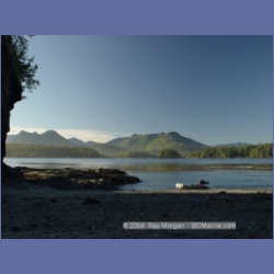 2003_3615_Spring_Island_Kyuquot_Sound.html