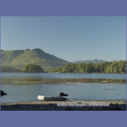 2003_3617_Spring_Island_Kyuquot_Sound.html