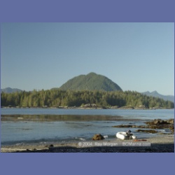 2003_3618_Spring_Island_Kyuquot_Sound.html