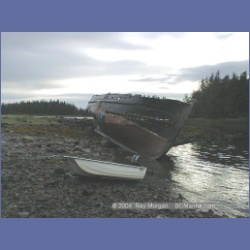 1998_469_St_John_Harbour.html