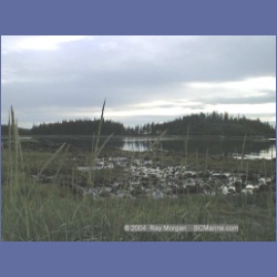 1998_474_St_John_Harbour.html
