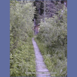 1999_380_Stikine_River.html
