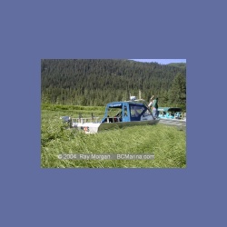 1999_385_Stikine_River.html