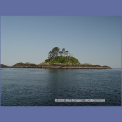 2004_6348_Storm_Islands.html