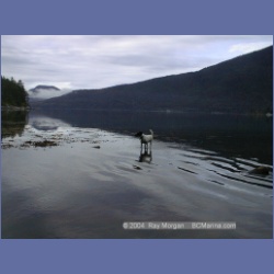 2001_314_Bessborough_Bay.html