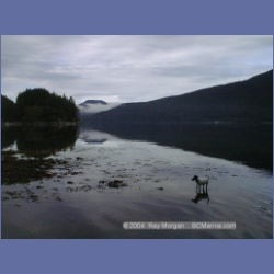 2001_316_Bessborough_Bay.html