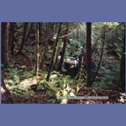 1997_swanson78.html