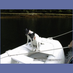 1999_057_Swanson_Bay.html