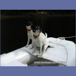 1999_058_Swanson_Bay.html