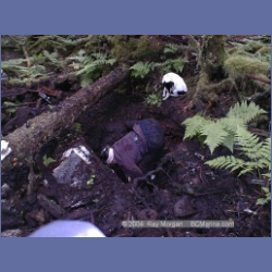 1999_059_Swanson_Bay.html