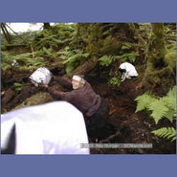 1999_060_Swanson_Bay.html