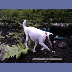 1999_063_Swanson_Bay.html