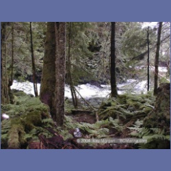 1999_065_Swanson_Bay.html
