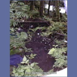 1999_066_Swanson_Bay.html
