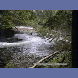 1999_450_Swanson_Bay.html