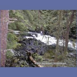 1999_451_Swanson_Bay.html