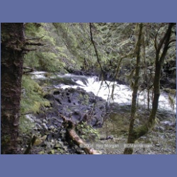 1999_452_Swanson_Bay.html