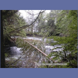 1999_453_Swanson_Bay.html