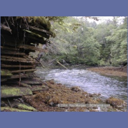 1999_459_Swanson_Bay.html
