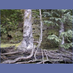 1999_460_Swanson_Bay.html