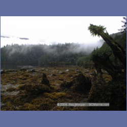2000_103_Swanson_Bay.html