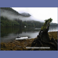2000_104_Swanson_Bay.html
