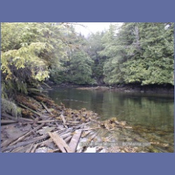 2000_105_Swanson_Bay.html