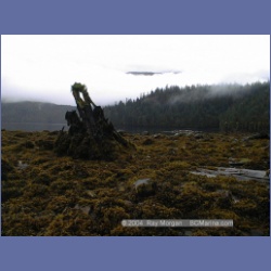 2000_108_Swanson_Bay.html