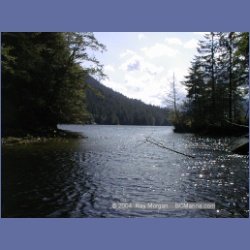 2002_696_Swanson_Bay.html