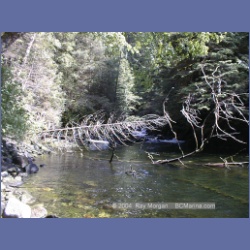 2002_697_Swanson_Bay.html