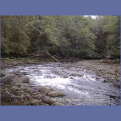 2002_698_Swanson_Bay.html