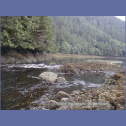 2002_699_Swanson_Bay.html
