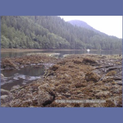 2002_700_Swanson_Bay.html