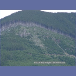 2003_3015_Tahsis_Inlet.html