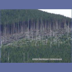 2003_3017_Tahsis_Inlet.html