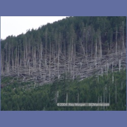 2003_3018_Tahsis_Inlet.html
