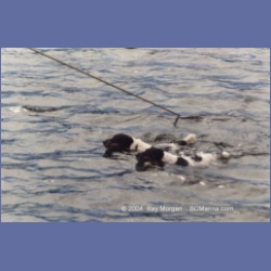 1997_takush_harbour115.html