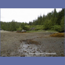 2000_080_Takush_Harbour.html