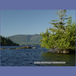 2003_4729_Takush_Harbour_Smith_Inlet.html
