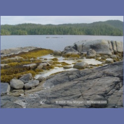 2004_6545_Takush_Harbour_Smith_Inlet.html