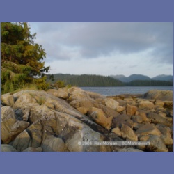 2004_6552_Takush_Harbour_Smith_Inlet.html