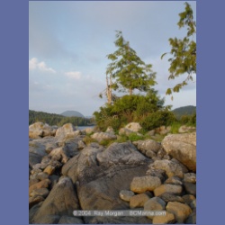 2004_6554_Takush_Harbour_Smith_Inlet.html