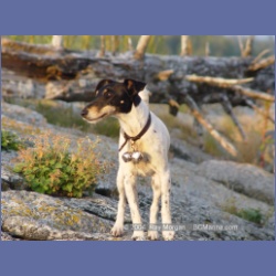 2004_6559_Takush_Harbour_Smith_Inlet.html