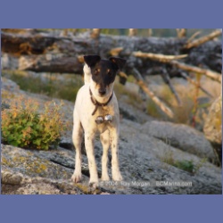 2004_6560_Takush_Harbour_Smith_Inlet.html