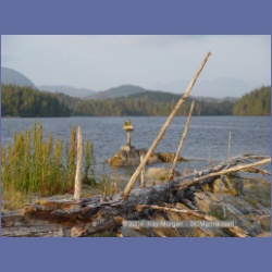 2004_6561_Takush_Harbour_Smith_Inlet.html
