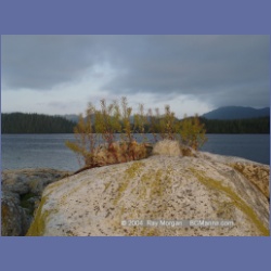 2004_6562_Takush_Harbour_Smith_Inlet.html