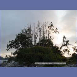 2004_6566_Takush_Harbour_Smith_Inlet.html